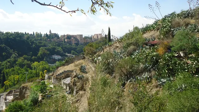 PASEANDO POR LOS ÁRBOLES DE GRANADA