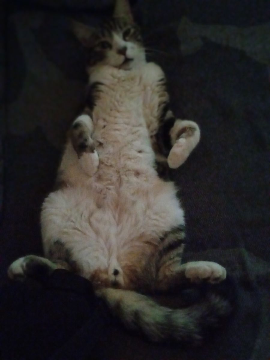 El Jodio de los cojones, me toca la flauta