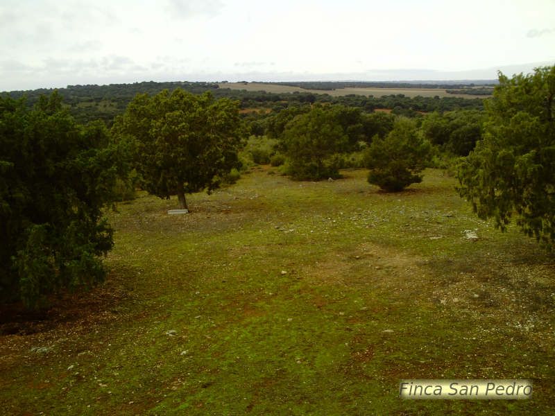 Noticia Peligrosa III