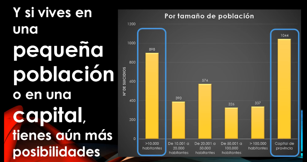 Imagen de galería