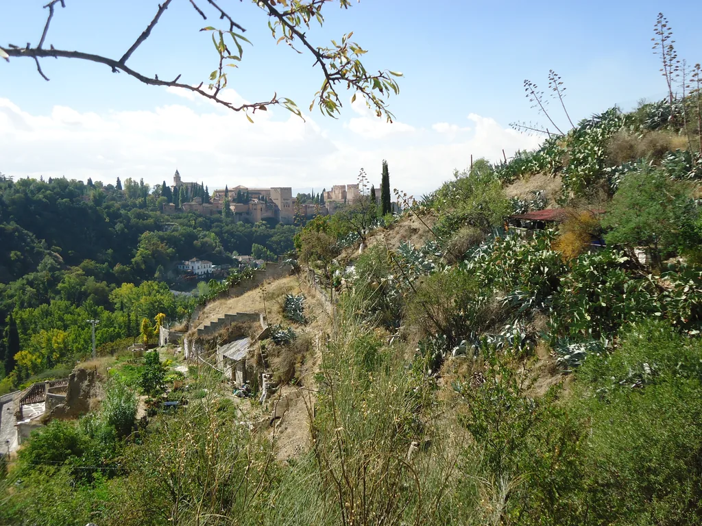 PASEANDO POR LOS ÁRBOLES DE GRANADA